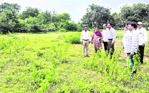 రూరల్‌ మార్ట్‌ సమర్థవంతంగా నిర్వహించాలి