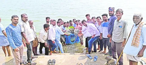 చేపపి
