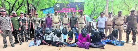 15 ఎర్రచందనం దుంగలు స్వాధీనం