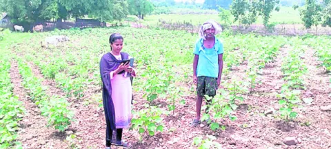 పంటల డిజిటల్‌ సర్వే