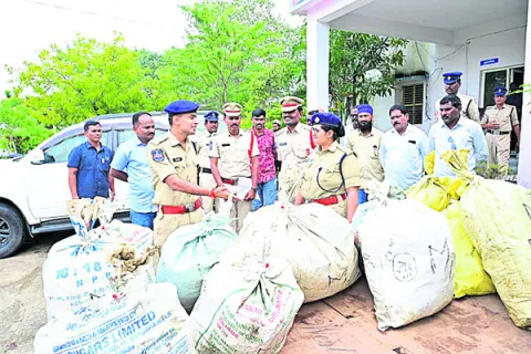 గంజాయి రహిత జిల్లాగా మార్చేందుకు కృషి 