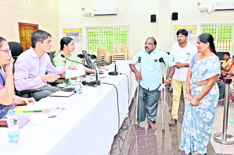 వికలత