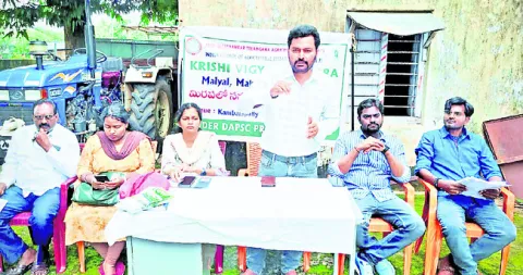 జీవన ఎరువులు వాడాలి