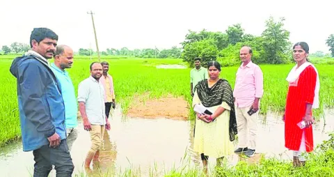 ఇసుక మేటలు తొలగిస్తాం 
