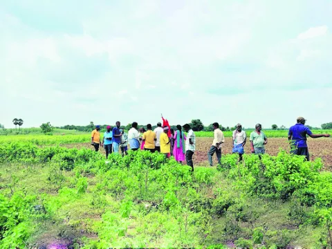 శరవేగ