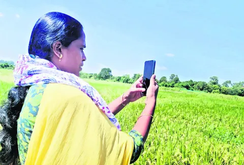 ముమ్మరంగా డిజిటల్‌ క్రాప్‌ సర్వే