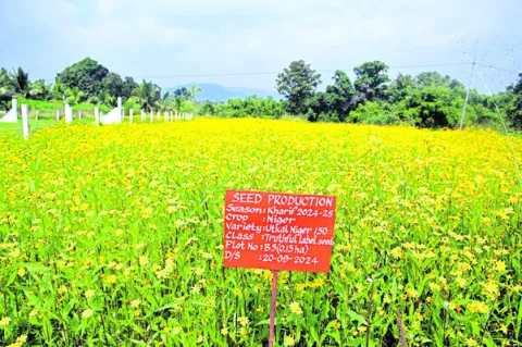 విలాపం