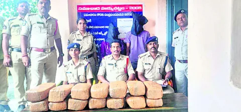 గంజాయితో నవ దంపతులు అరెస్టు 