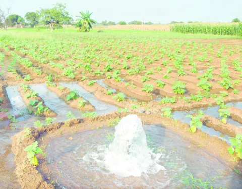 పాతాళ గంగమ్మ ౖపైపెకి..