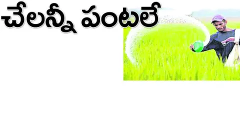 ఖరీఫ్