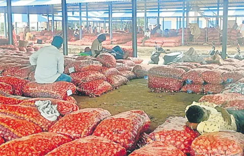 Onion farmers are deeply disturbed by the governments attitude