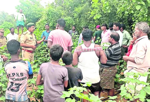 మద్దెలబండలో చిరుత సంచారం 