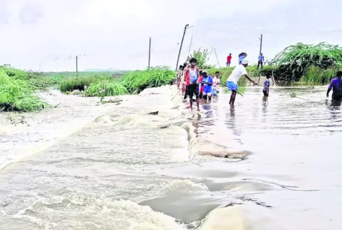 జిల్లాలో జోరువాన 
