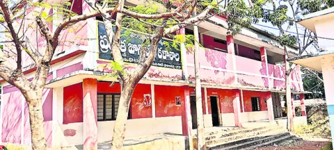 8 నెల