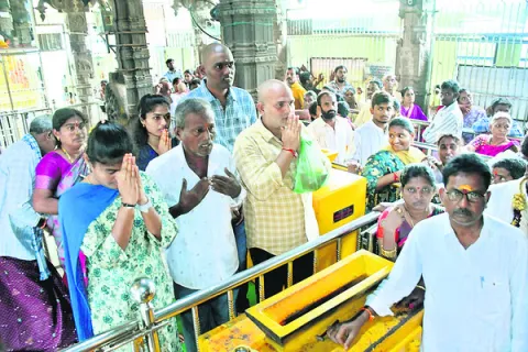 జమలాప