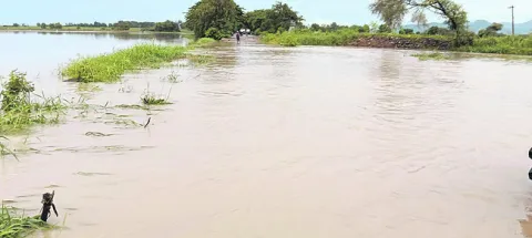 జోరు 