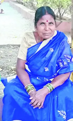 విద్యుత్‌ షాక్‌తో మూడు గేదెలు.. 

