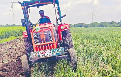 Prices of all major crops have fallen sharply