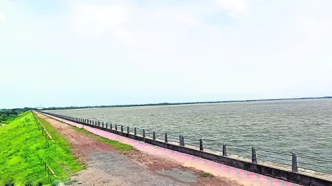 నాటి 