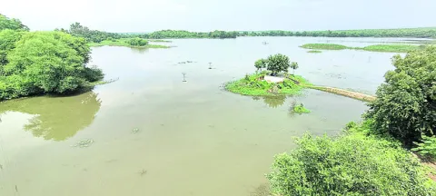 మావల 