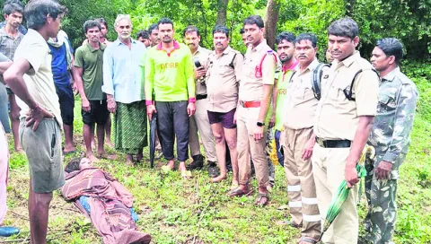 చెక్‌