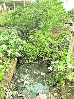 వామ్మ