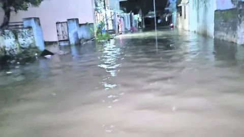 ఏటా మ