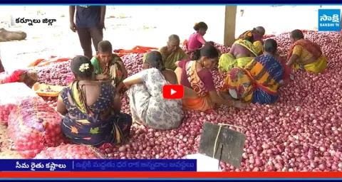 Rayalaseema Farmers Fire On Chandrababu Over No Price for Crop 1