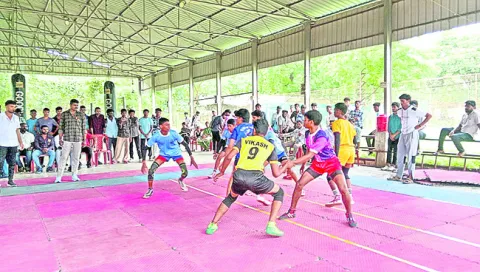 రాష్ట్రస్థాయిలోనూ సత్తా చాటాలి