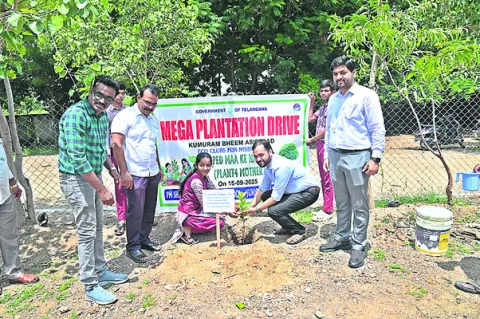 ‘అమ్మ’ మొక్కను బతికించాలి

