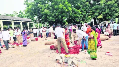 మిర్చి ధర పతనం