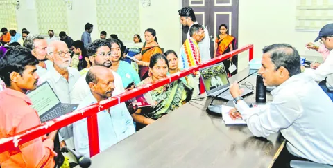 మొక్క