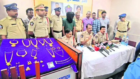 శోధించి..ఛేదించారు! 