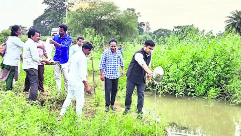 మలేరియా నివారణకు చర్యలు 
