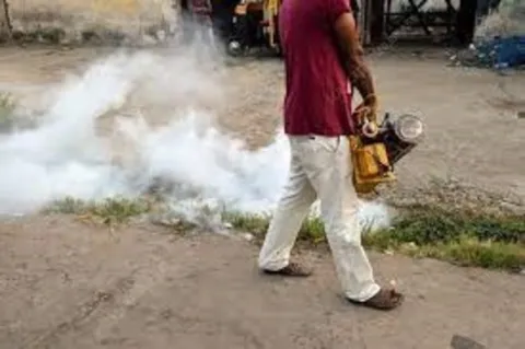 ఫాగింగ్‌... పరేషాన్‌..! 