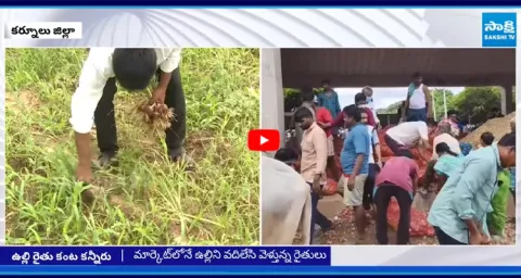 Farmers Plowed Onion Crop For No Support Price 1