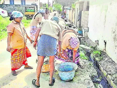 పండుగ
