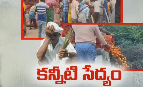 Onion Farmers Fires on Chandrababu Govt Negligence