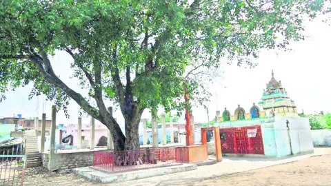 అయిజలో లెవి సహాయ నిరాకరణోద్యమం 
