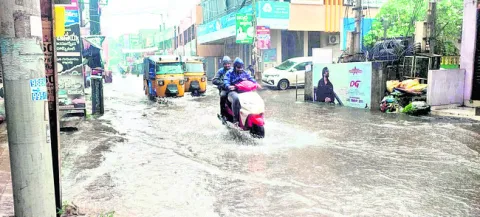 ఉద్యాన పంటల్లో సస్యరక్షణ 
