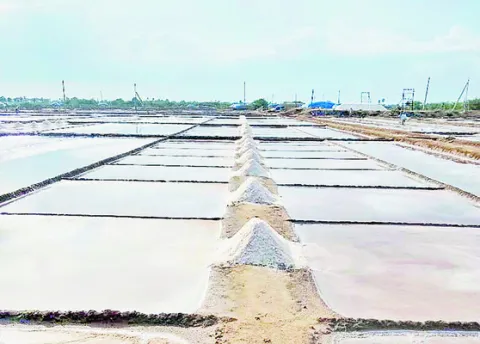 ఆశలు 