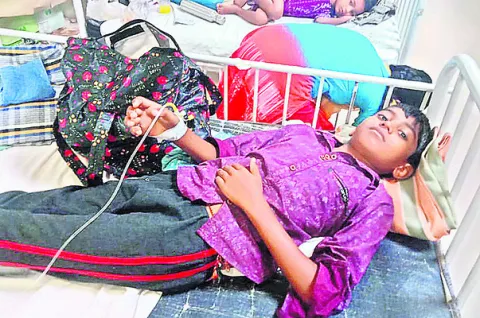 విద్యార్థికి పాముకాటు