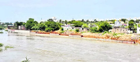 నిర్ల
