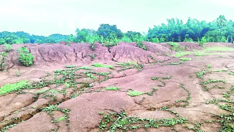 అక్రమంగా మట్టి నిల్వలు 