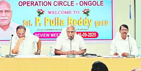 విద్యుత్‌ అధికారుల తీరుపై సీఎండీ అసంతృప్తి 