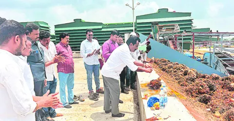 ఆయిల్‌పామ్‌ ఫ్యాక్టరీ సిద్ధం 