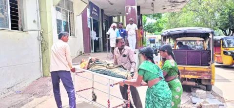కుటుంబ సభ్యులే  వైద్య సేవకులై.. 
