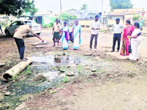 డెంగీ నివారణకు చర్యలు