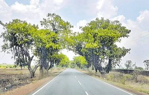 New design for Chevella Highway expansion