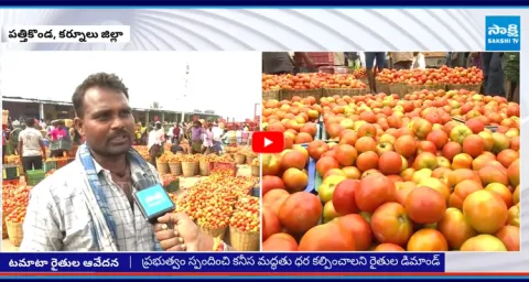 Pattikonda Tomato Famers Fires On Chandrababu Govt  3